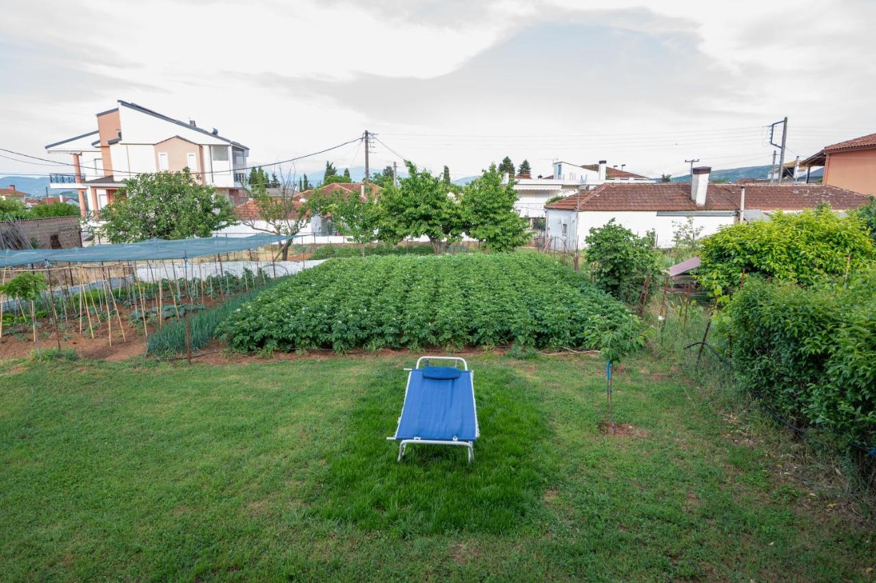 Dream House Ioannina Appartement Buitenkant foto