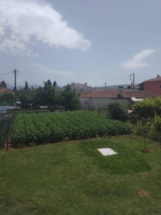 Dream House Ioannina Appartement Buitenkant foto