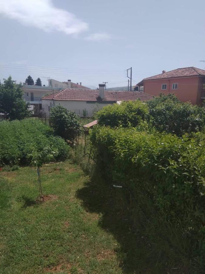 Dream House Ioannina Appartement Buitenkant foto